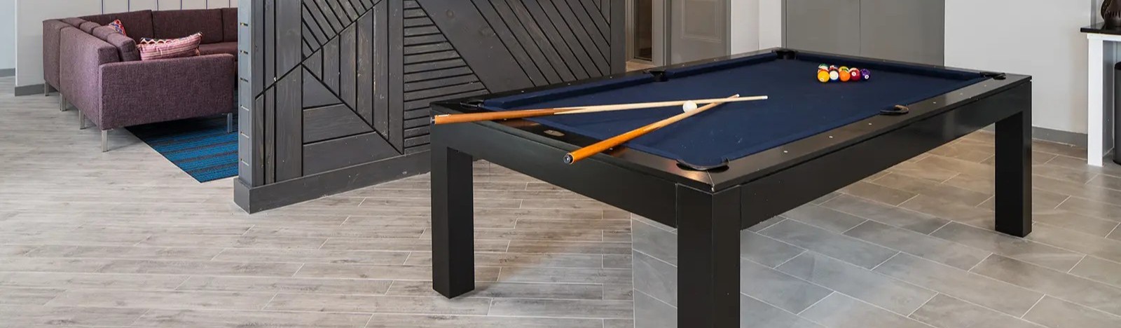 Pool table with T.V.
